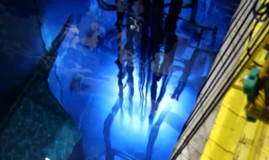 Pesquisas em reator nuclear da USP serão feitas temporariamente em BH