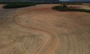 Fim da Moratória da Soja pode ampliar destruição da Amazônia
