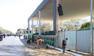 Sete de setembro: soberania, Copa e combate ao feminicídio serão temas
